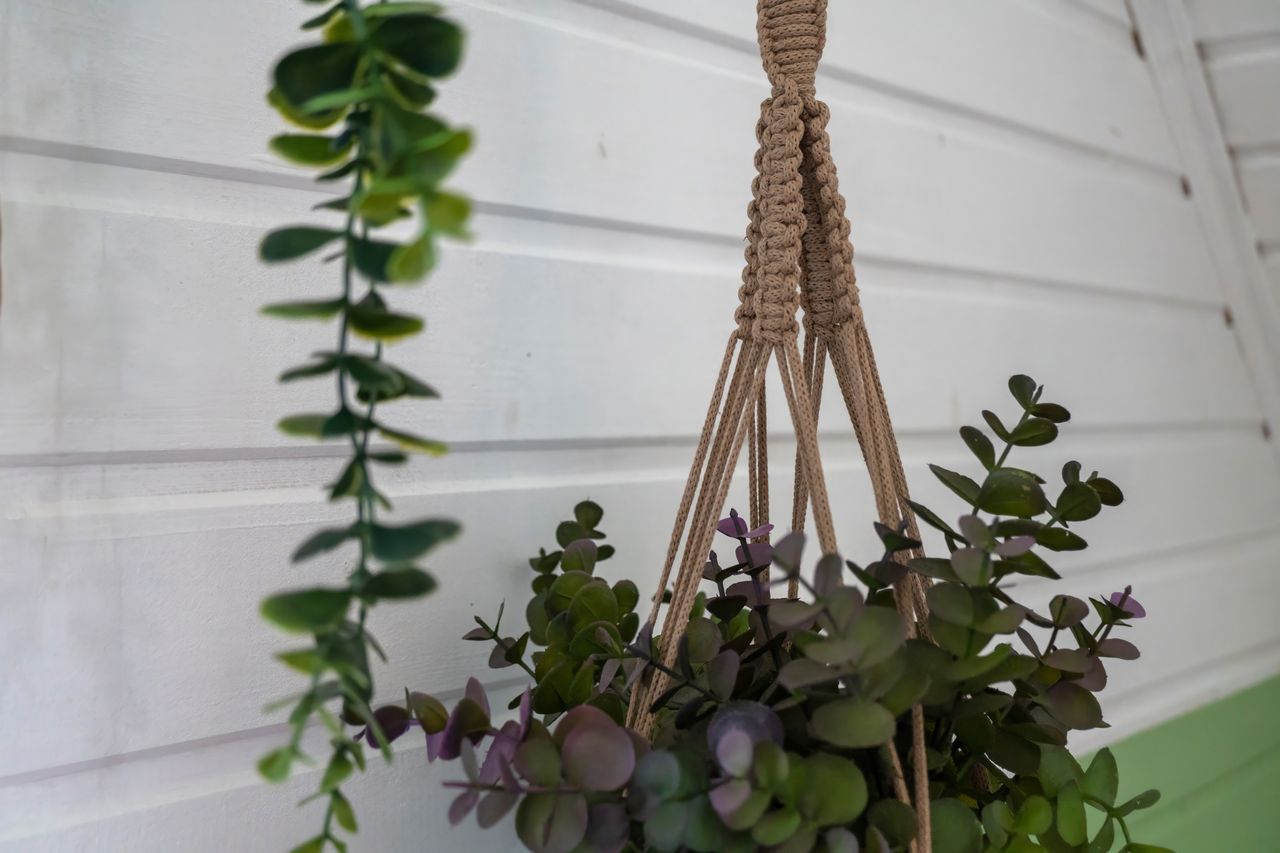 Jardinière suspendue en macramé avec pot en terre cuite et bois flotté sur balcon verdoyant