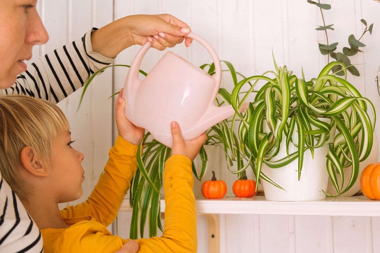 Parents et enfants partagent un moment calme à la maison, entre plantes, tisane et lumière douce.
