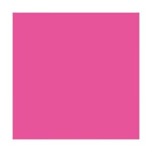Ramette de 500 feuilles papier couleur TROPHEE 80 grammes format A3 rose fuchsia