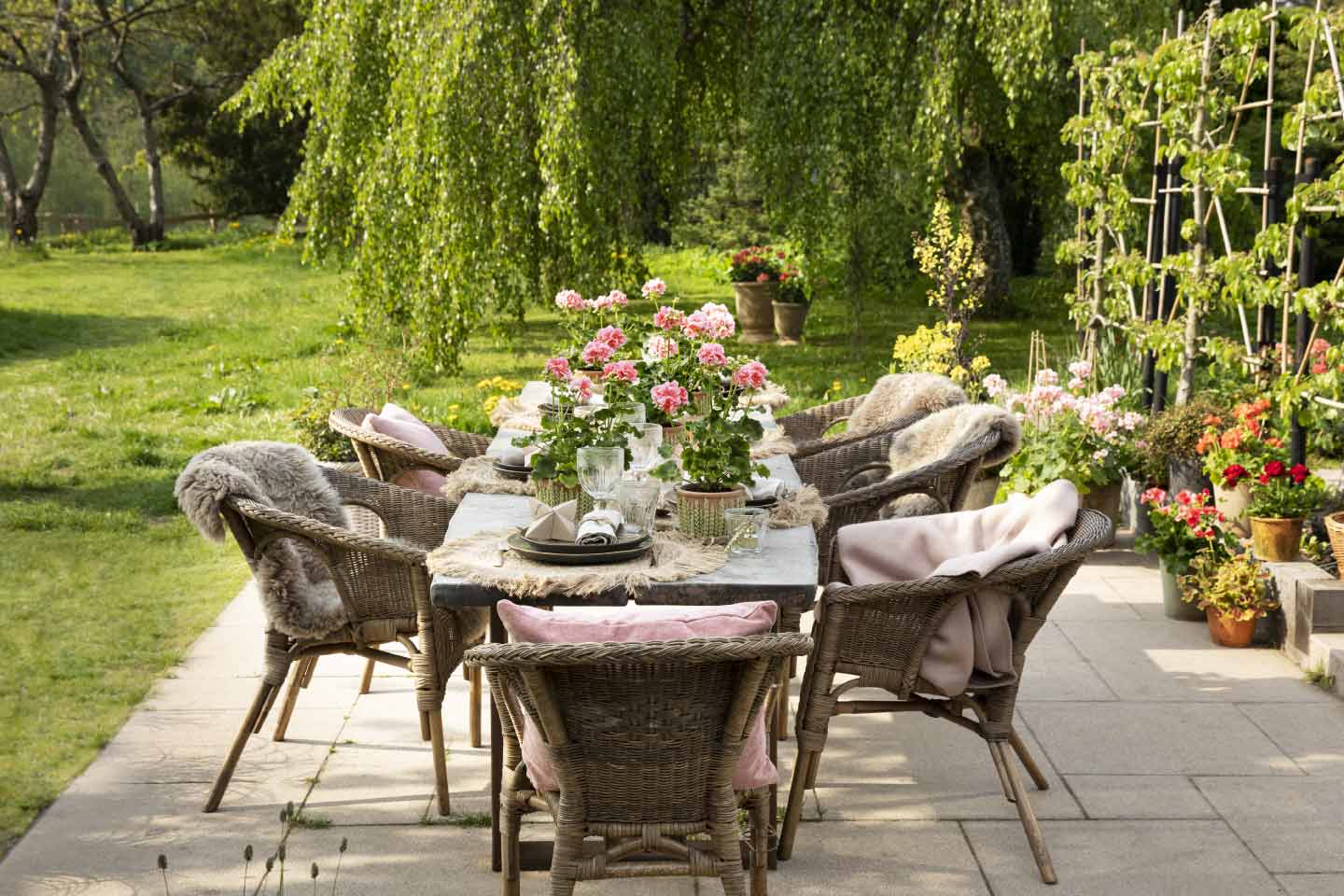 Lire la suite à propos de l’article L&rsquo;art de la table se met au vert avec les géraniums