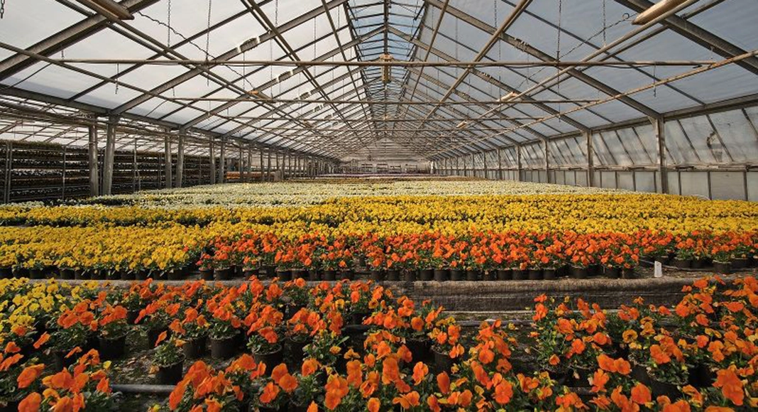 Lire la suite à propos de l’article Chauffage pour serres – Furniture Matters